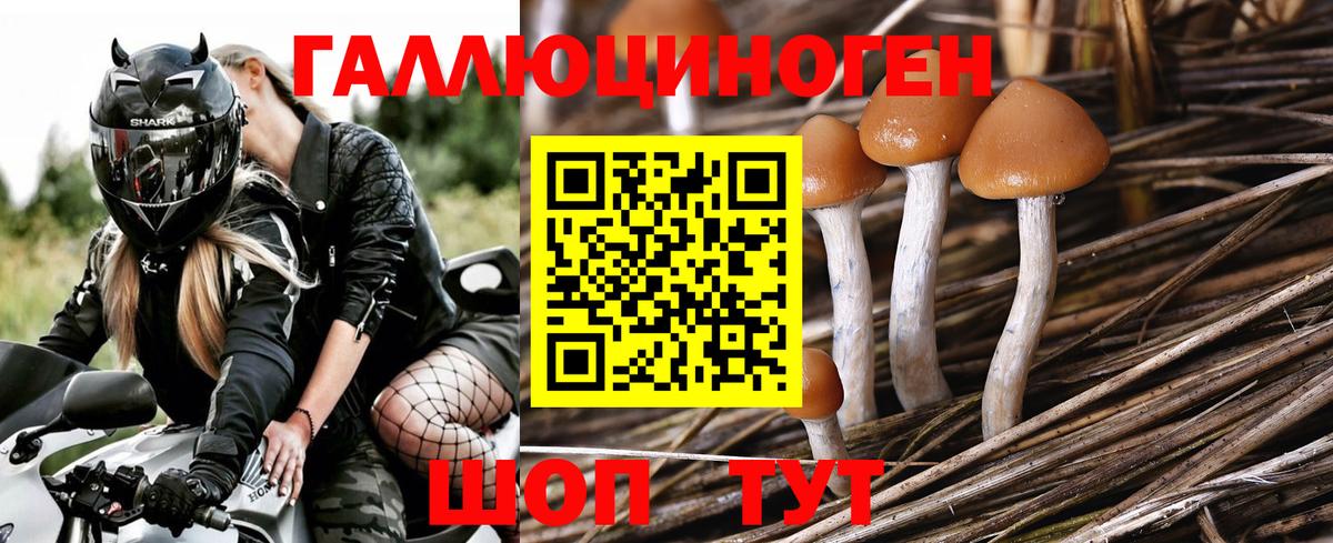 Воронеж  Галлюциногенные грибы MAGIC MUSHROOMS  Вход с VPN 