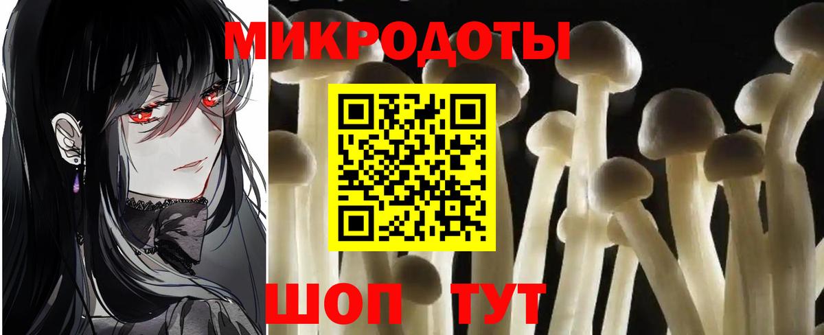 Псилоцибиновые грибы Psilocybe Воронеж